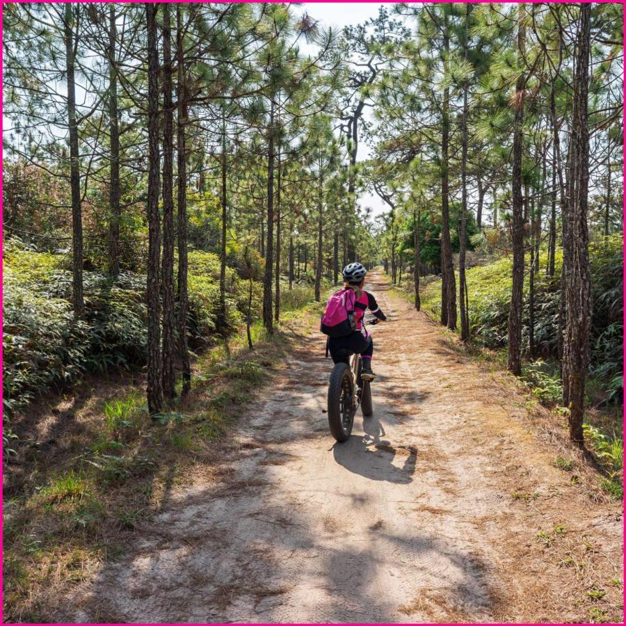 Mobilhome 2Ch Climatise-Terrasse Fermee-4 Velos-Camping 4 Etoiles Les Charmettes Les Mathes Εξωτερικό φωτογραφία